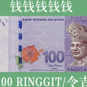 【马来西亚币】现金买燕窝？马来西亚的钱都长成什么样子的？