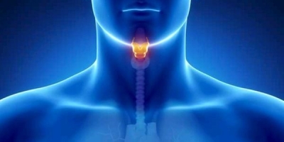 【燕窝功能】我的喉咙老是不舒服，经常吃可以燕窝治疗咽喉炎吗？
